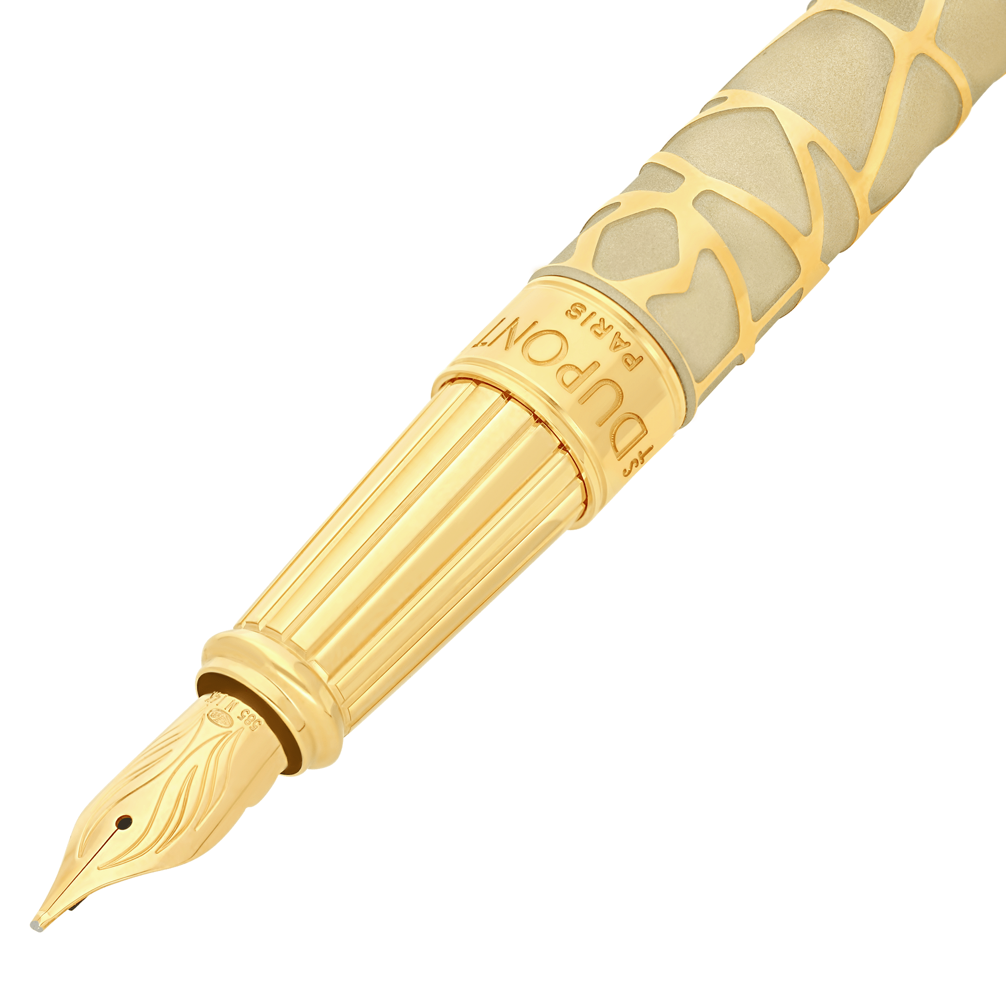 Fountain pen large