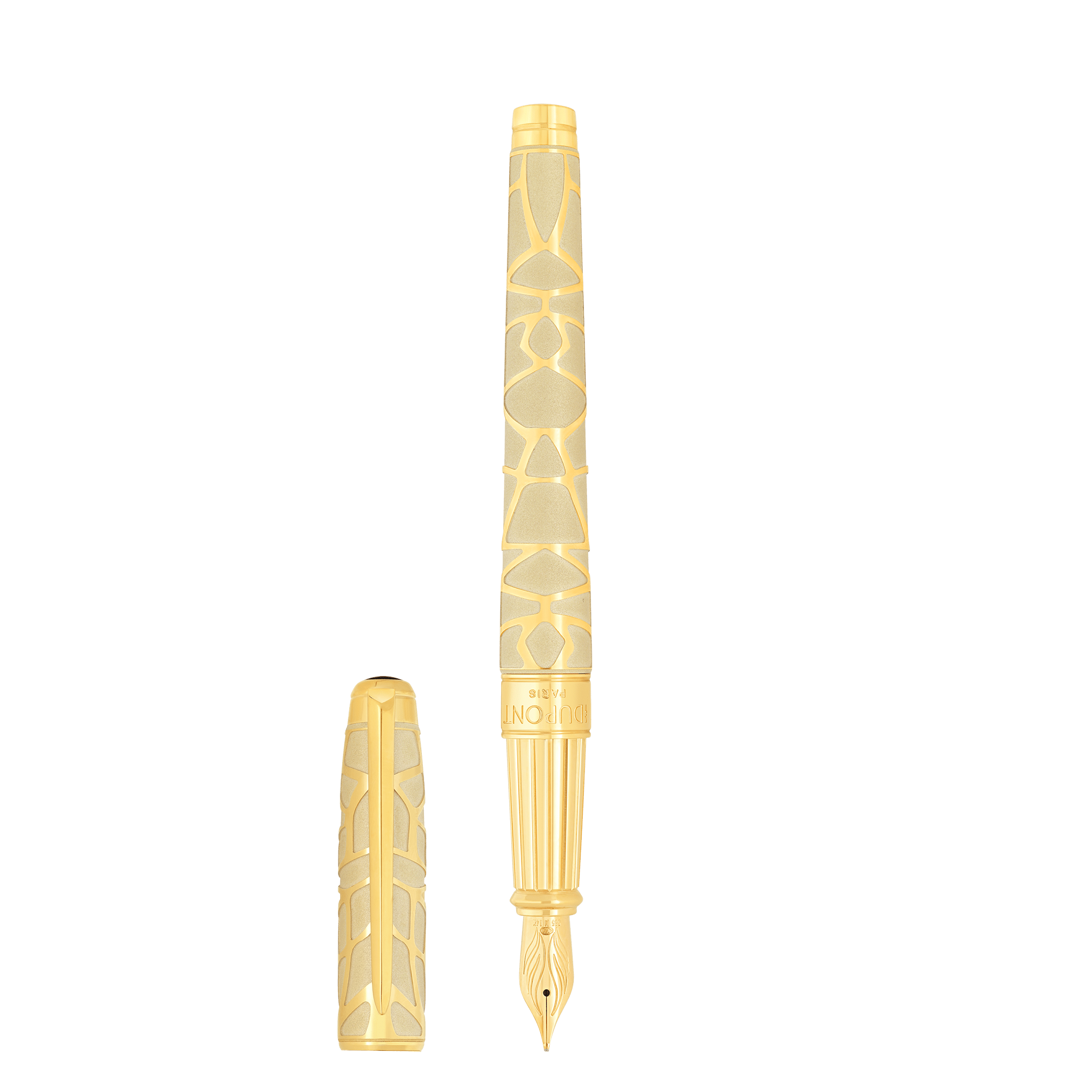 Fountain pen large