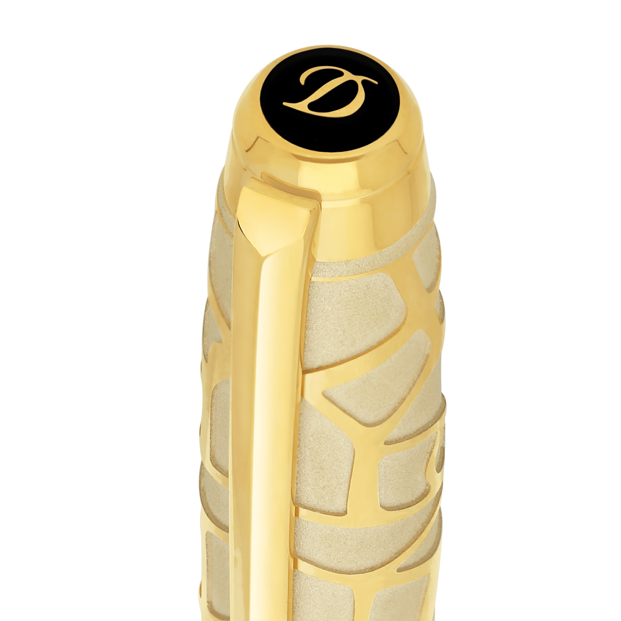 Fountain pen large
