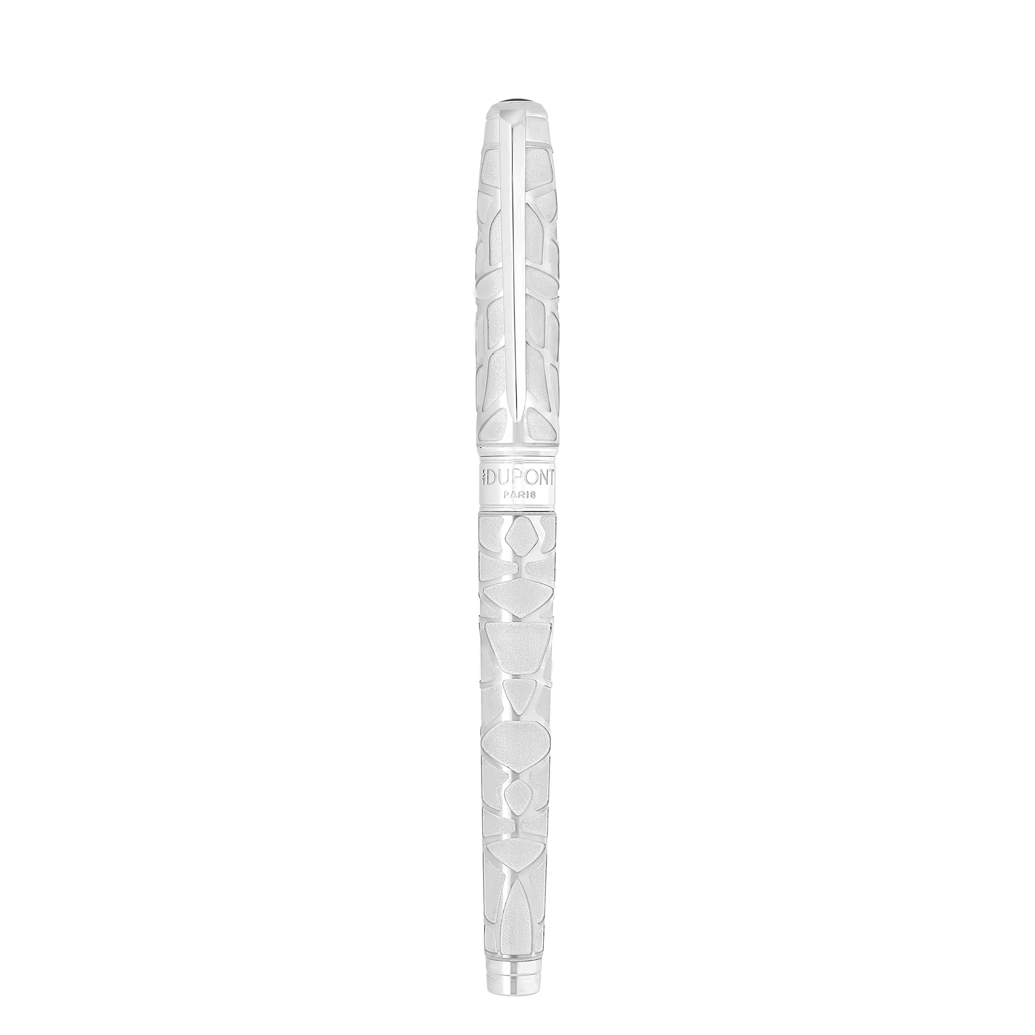 Fountain pen large
