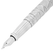 Fountain pen large