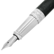 Fountain pen medium